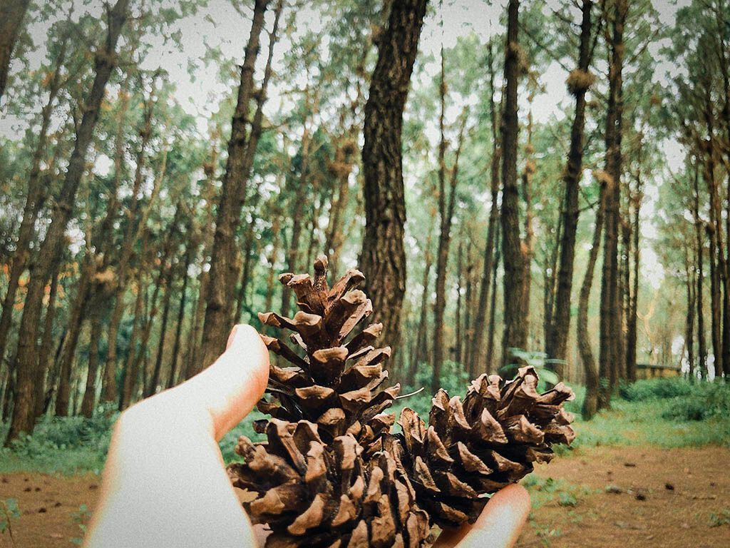 Discover Bunker Hill sustainably with eco-friendly travel